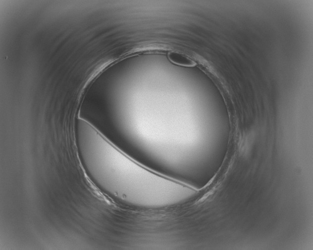 X0000056031137200508190945