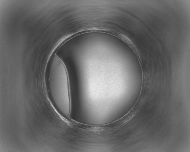 X0000056031141200508190945