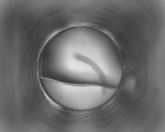 X0000056031143200508190945