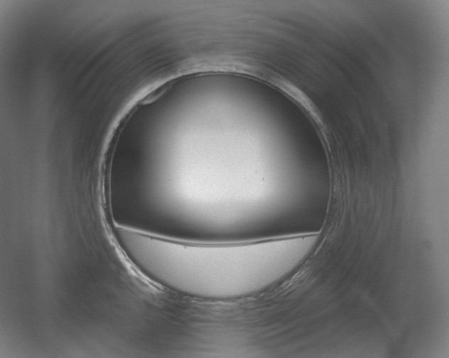 X0000056031144200508190945
