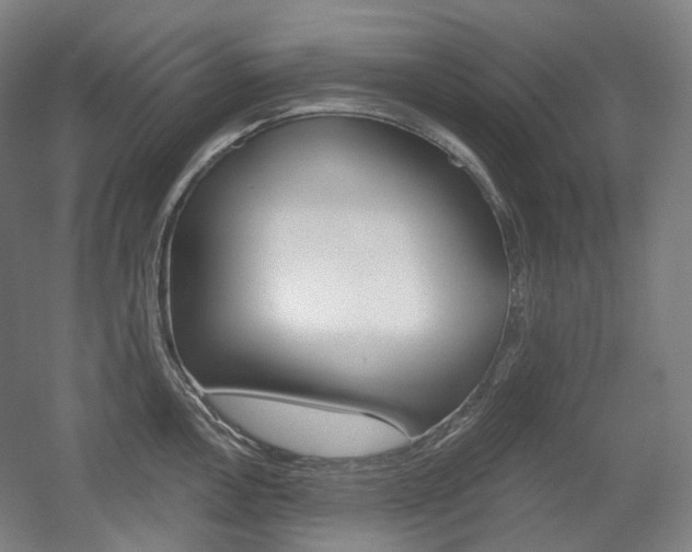 X0000056031146200508190945