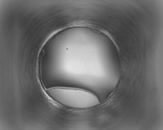 X0000056031147200508190945