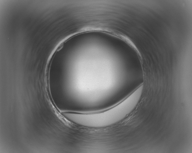 X0000056031148200508190945