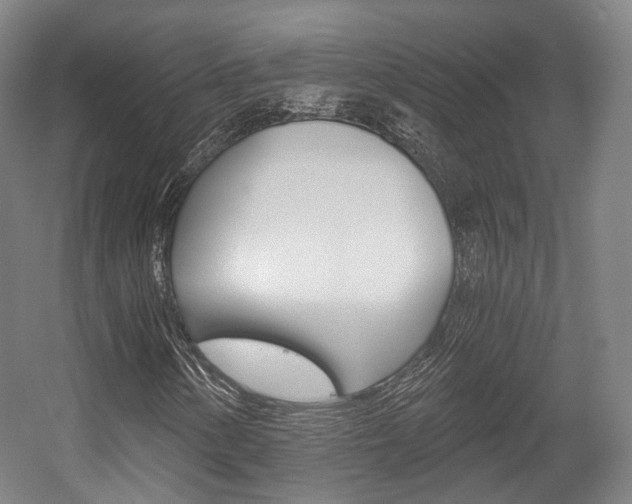 X0000056031154200508190945