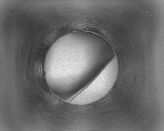 X0000056031155200508190945