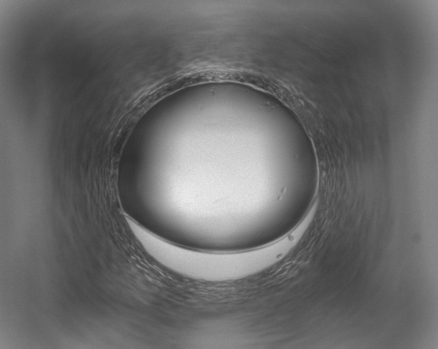 X0000056031157200508190945