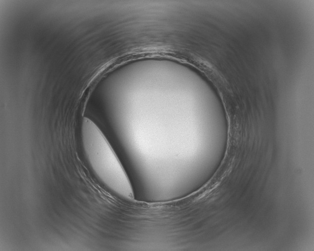 X0000056031162200508190944