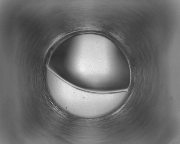 X0000056031163200508190944