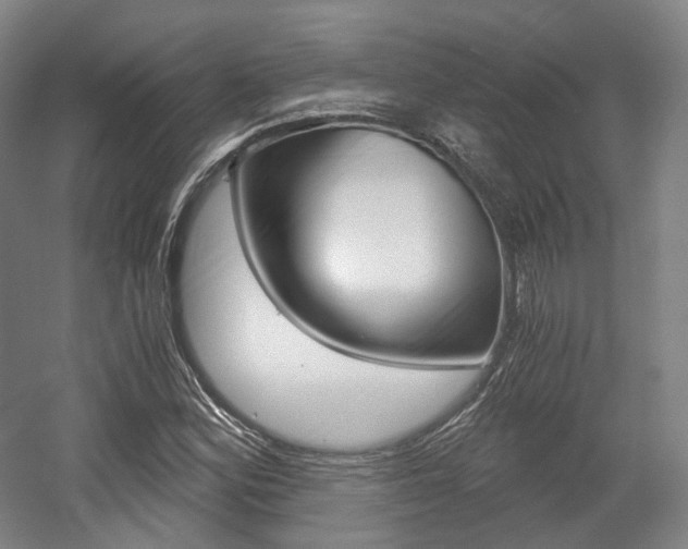 X0000056031164200508190944