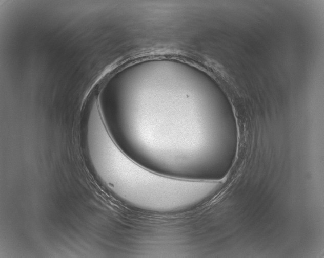 X0000056031165200508190944