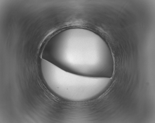 X0000056031166200508190944