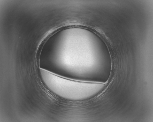 X0000056031167200508190944