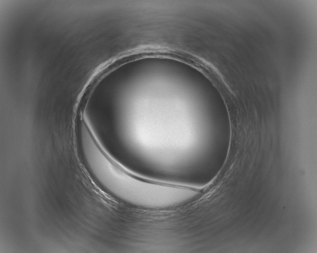 X0000056031168200508190944