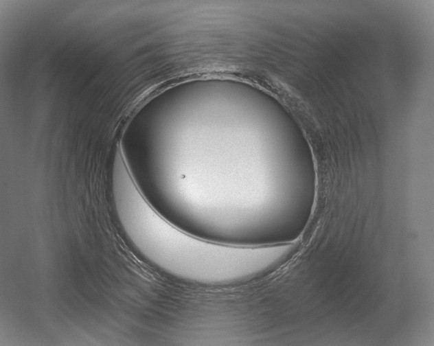 X0000056031169200508190944