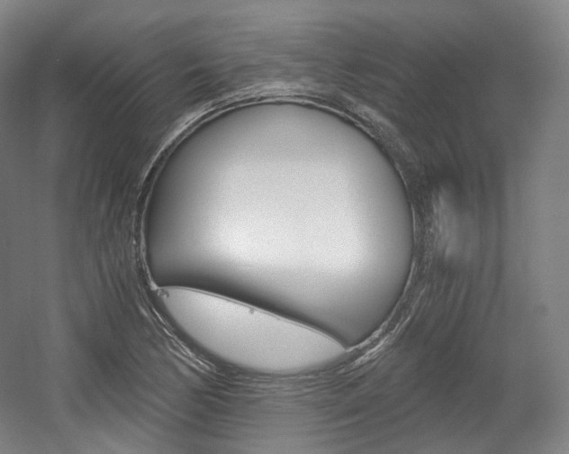 X0000056031170200508190944
