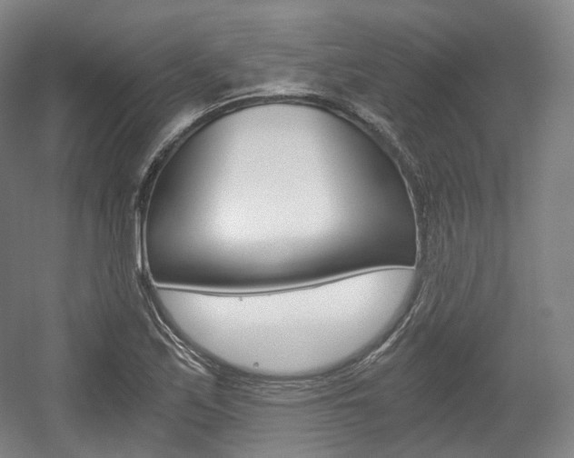 X0000056031171200508190944