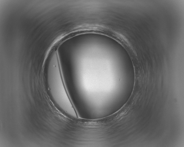 X0000056031172200508190944