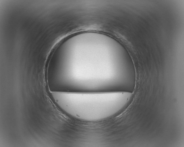 X0000056031174200508190944