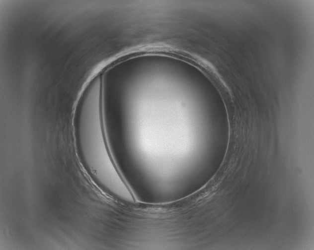 X0000056031176200508190944