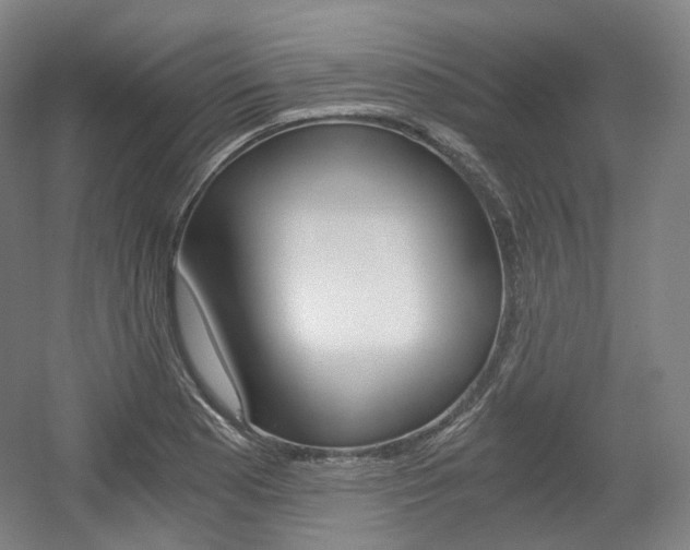 X0000056031177200508190944