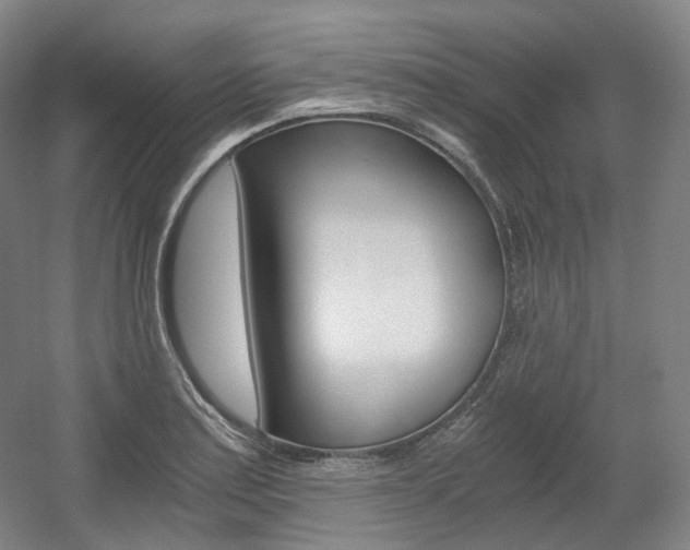 X0000056031179200508190944