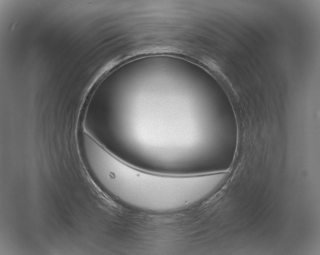 X0000056031181200508190944