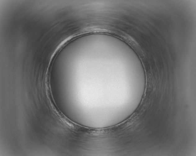 X0000056031182200508190944