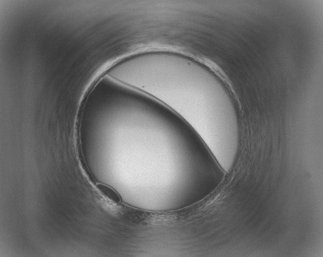 X0000056031183200508190944