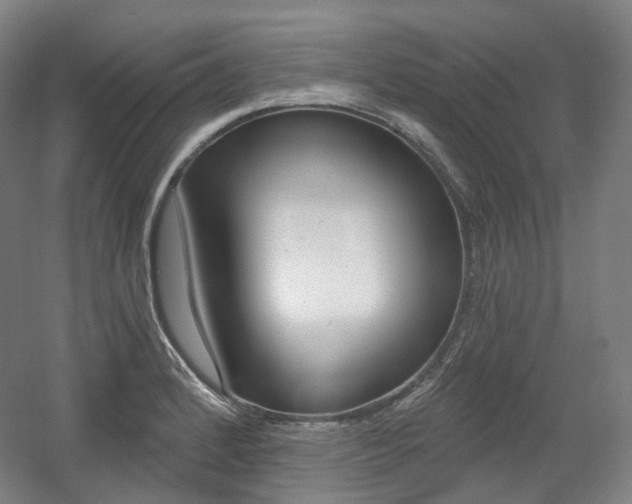 X0000056031184200508190944