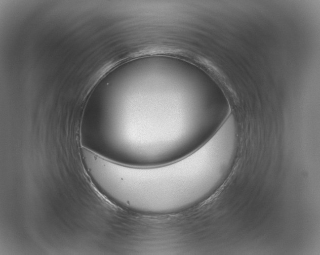 X0000056031185200508190944