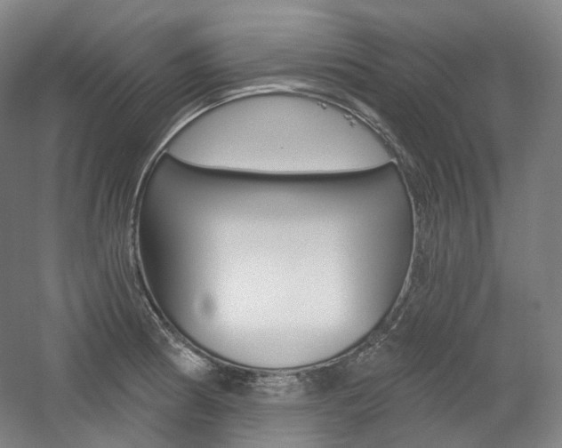 X0000056031186200508190944