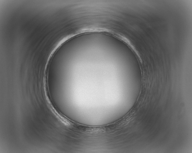 X0000056031187200508190944