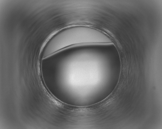 X0000056031188200508190944