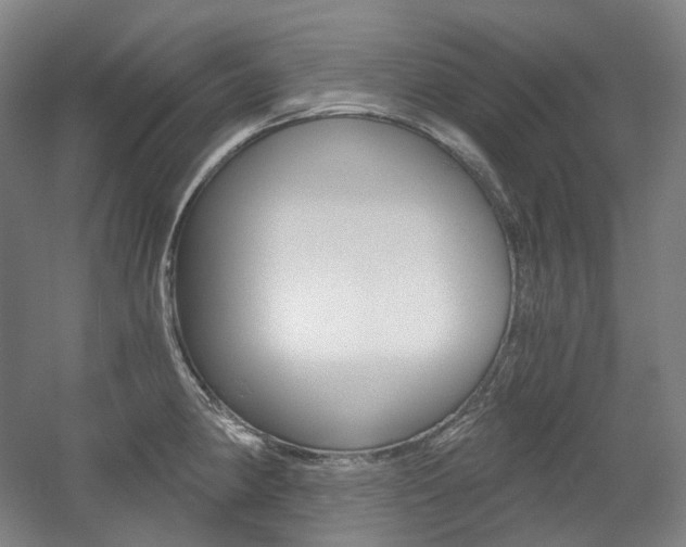 X0000056031190200508190944