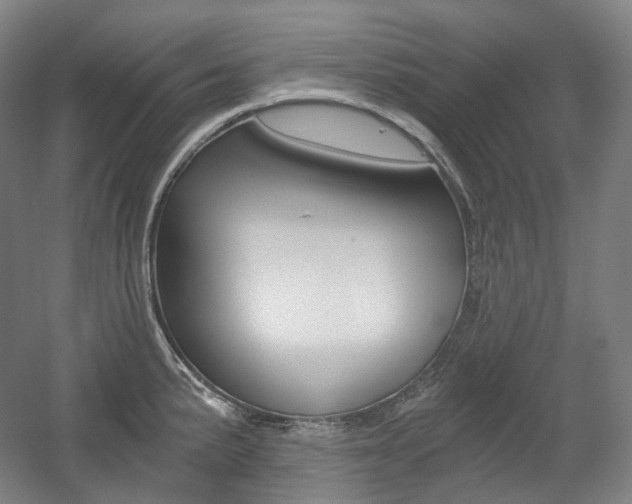 X0000056031191200508190944