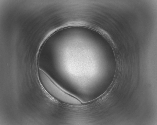 X0000056031192200508190944