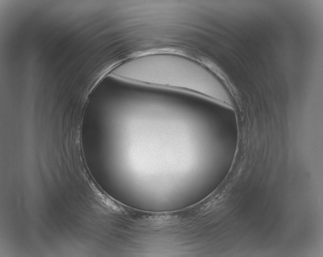 X0000056031193200508190944