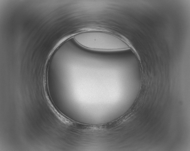 X0000056031195200508190944