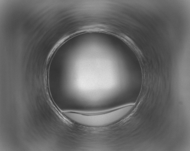X0000056031196200508190944
