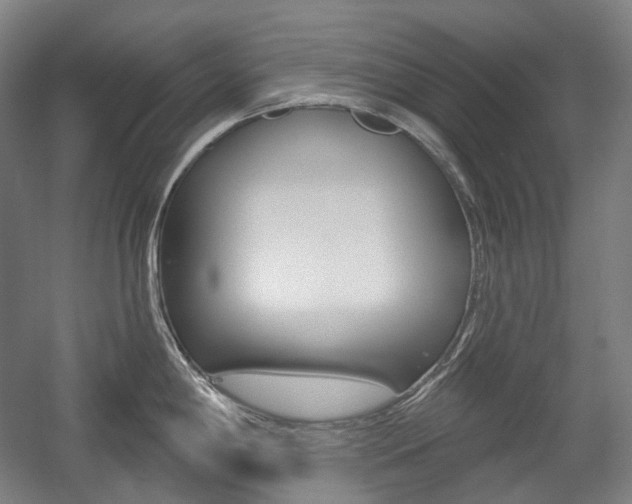 X0000056031198200508190944