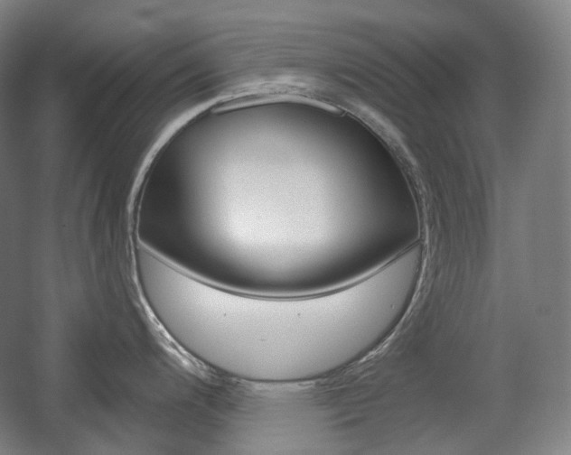 X0000056031200200508190944
