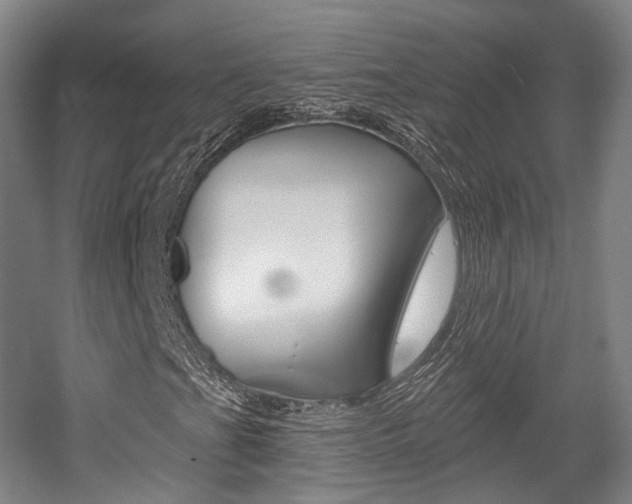 X0000056031201200508190943