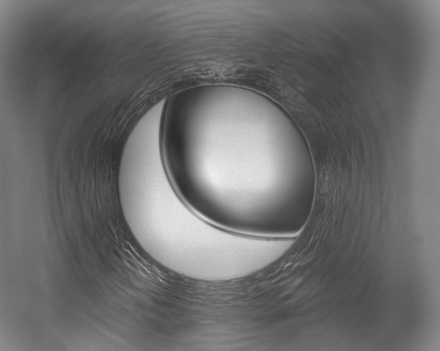 X0000056031202200508190943