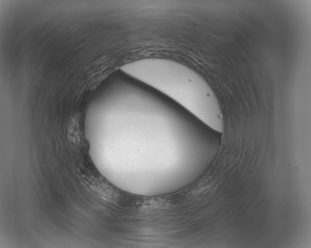 X0000056031203200508190943