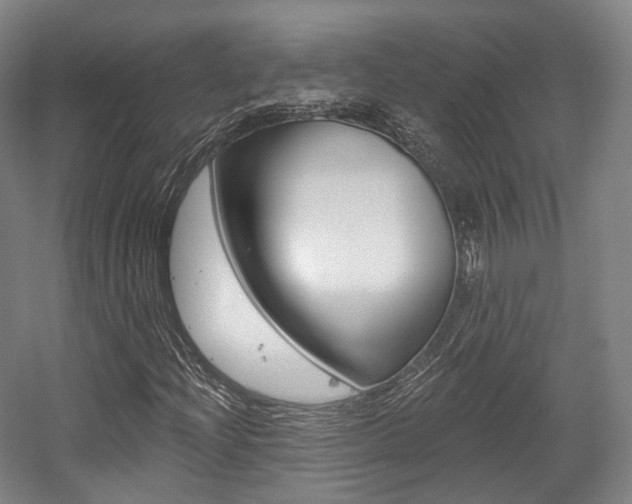 X0000056031204200508190943