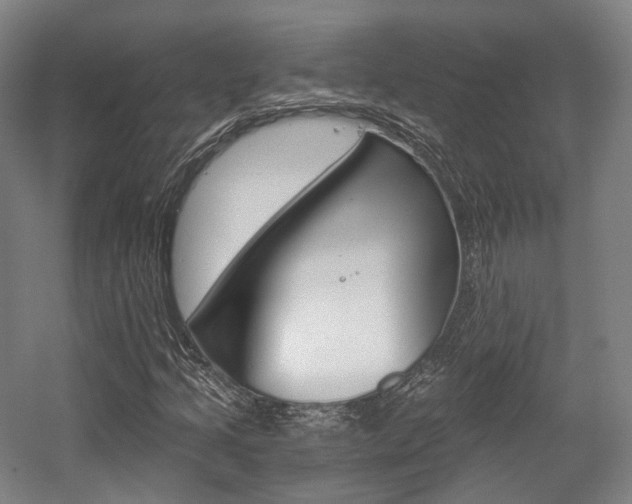 X0000056031205200508190943