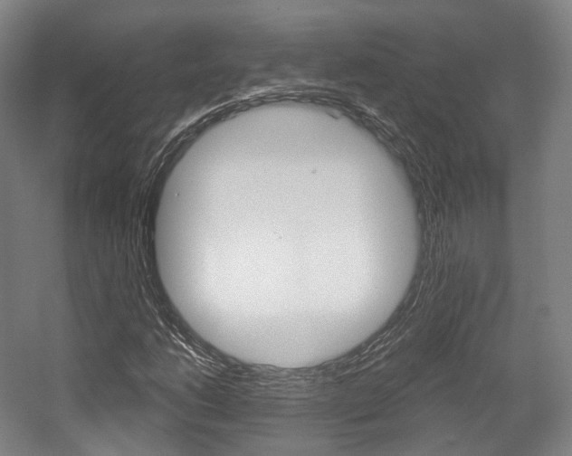 X0000056031206200508190943