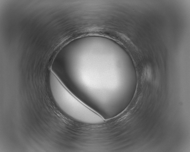 X0000056031209200508190943