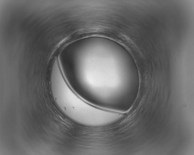 X0000056031210200508190943
