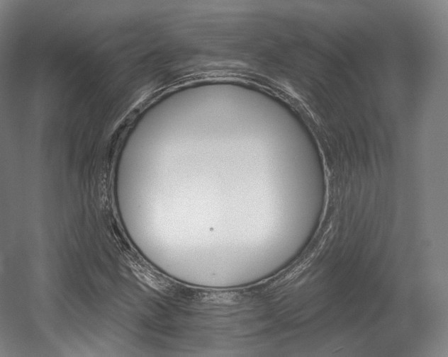 X0000056031211200508190943
